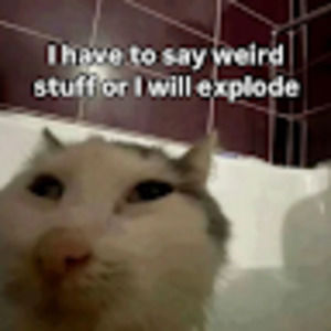 Meet your Posher, Bao